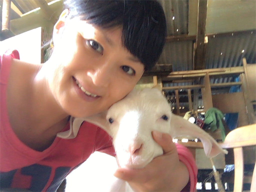 f:id:nagomiyasu-okinawa:20160312233529j:image f:id:nagomiyasu-okinawa:20160312233529j:image