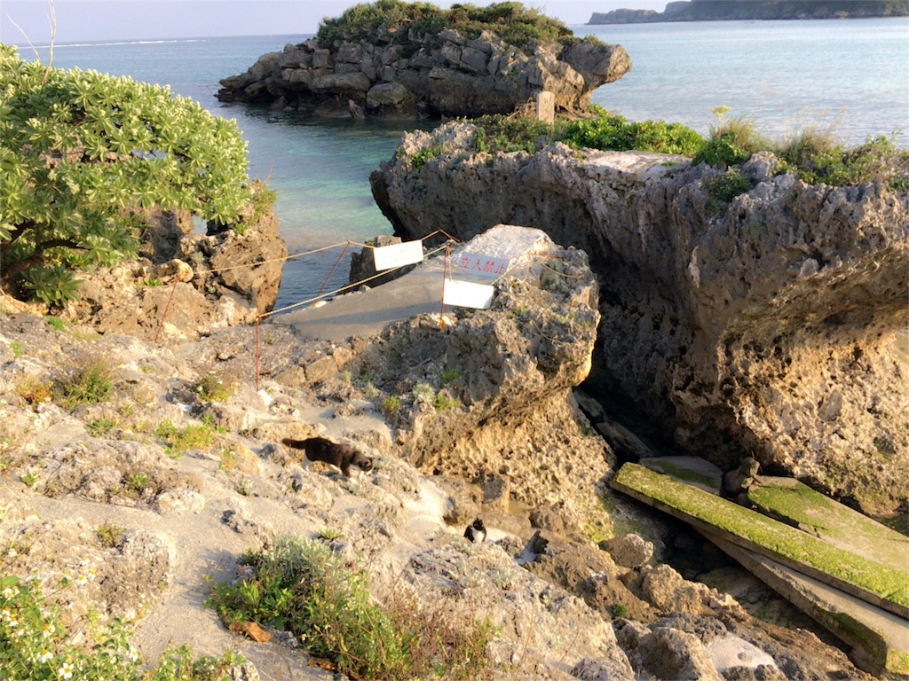 f:id:nagomiyasu-okinawa:20160312233718j:image f:id:nagomiyasu-okinawa:20160312233718j:image
