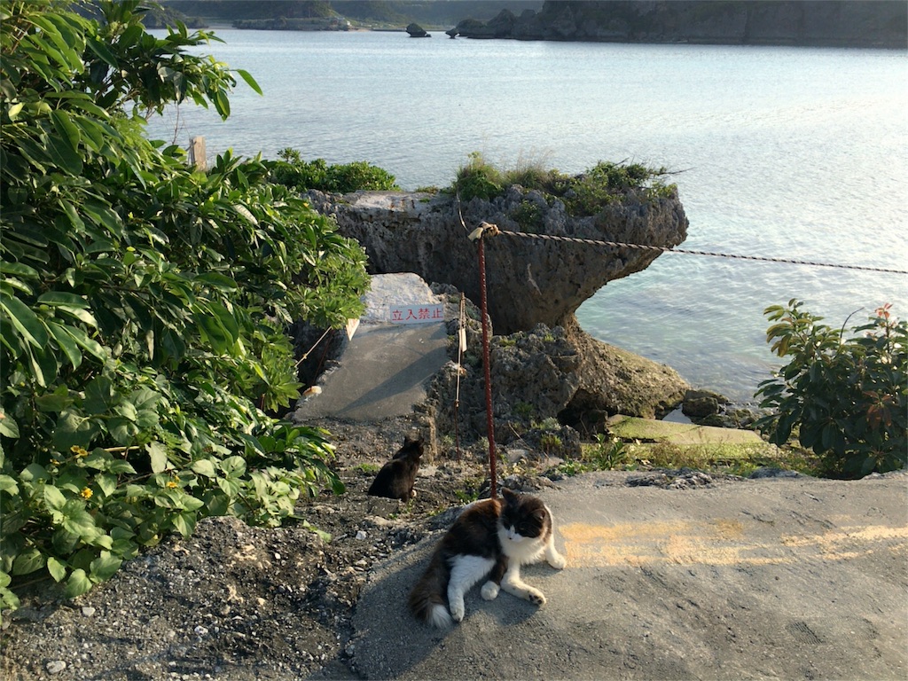 f:id:nagomiyasu-okinawa:20160312233829j:image f:id:nagomiyasu-okinawa:20160312233829j:image