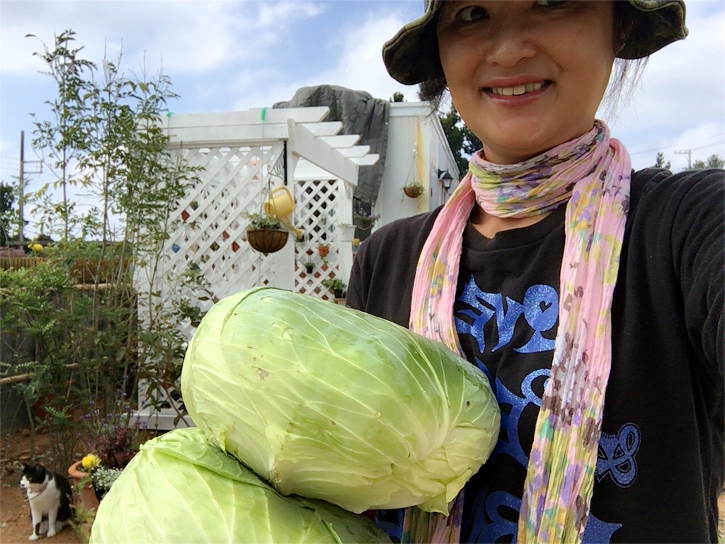 f:id:nagomiyasu-okinawa:20160314172124j:image f:id:nagomiyasu-okinawa:20160314172124j:image