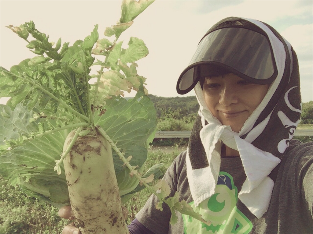 f:id:nagomiyasu-okinawa:20160402124408j:image f:id:nagomiyasu-okinawa:20160402124408j:image