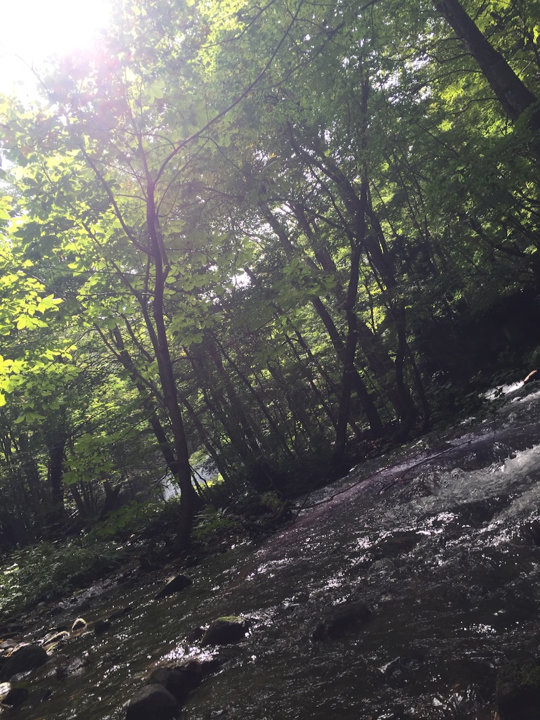 f:id:nakai-senmu:20150921195247j:image f:id:nakai-senmu:20150921195247j:image