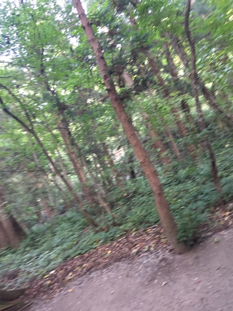 f:id:nakai-senmu:20150921200316j:image f:id:nakai-senmu:20150921200316j:image