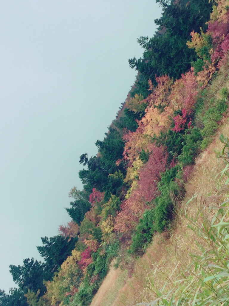 f:id:nakai-senmu:20151004195208j:image f:id:nakai-senmu:20151004195208j:image