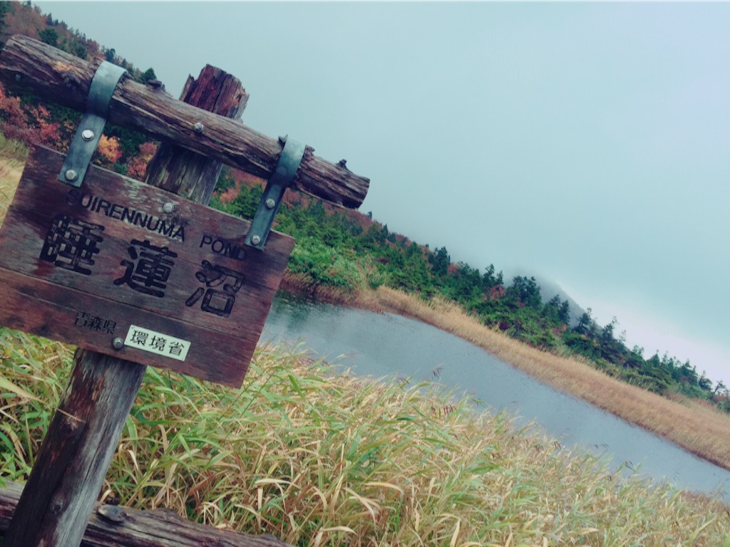 f:id:nakai-senmu:20151004195709j:image f:id:nakai-senmu:20151004195709j:image
