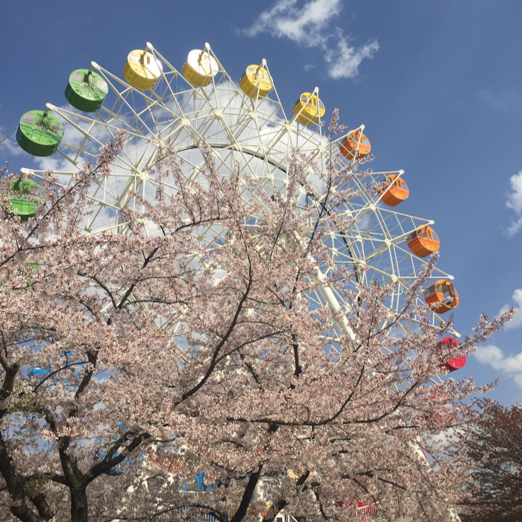 f:id:nakai-senmu:20160424235306j:image f:id:nakai-senmu:20160424235306j:image