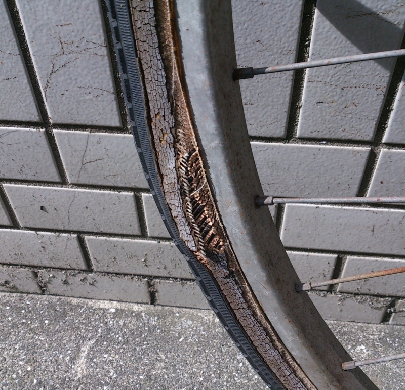 自転車のタイヤを交換したった ...