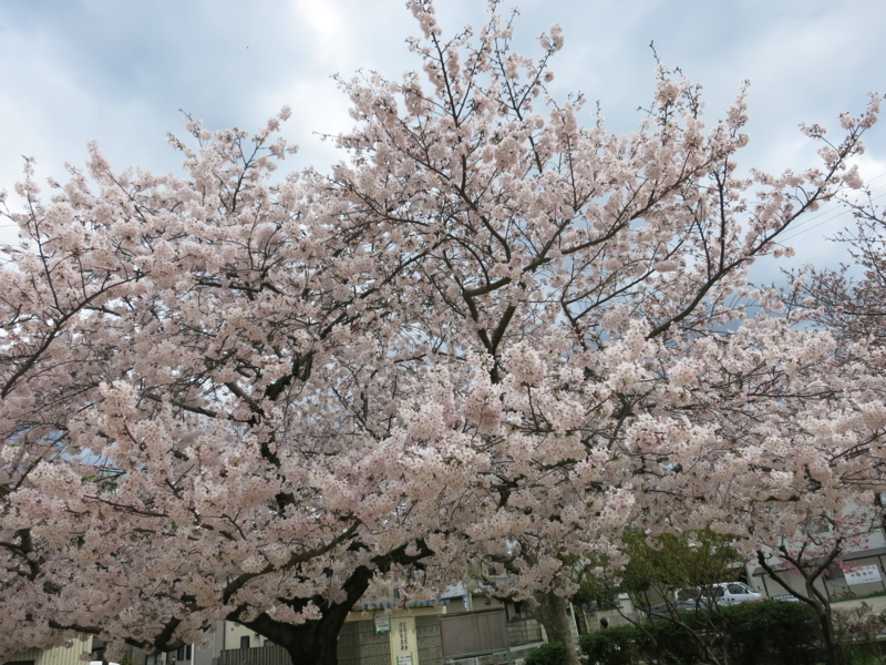 f:id:nakamozugame:20160402120233j:plain f:id:nakamozugame:20160402120233j:plain