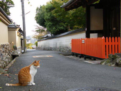 f:id:nakamu1973:20090215095336j:image f:id:nakamu1973:20090215095336j:image