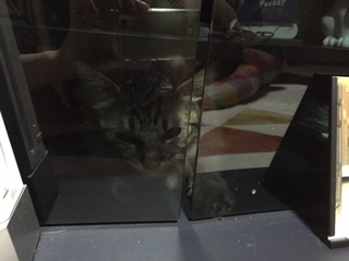 f:id:nakanakamosamosa:20150323213526j:plain f:id:nakanakamosamosa:20150323213526j:plain