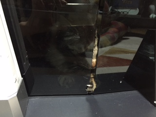 f:id:nakanakamosamosa:20150323213610j:plain f:id:nakanakamosamosa:20150323213610j:plain