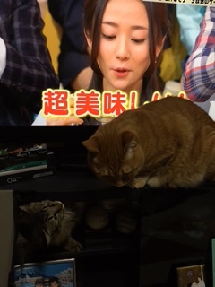f:id:nakanakamosamosa:20150323213631j:plain f:id:nakanakamosamosa:20150323213631j:plain