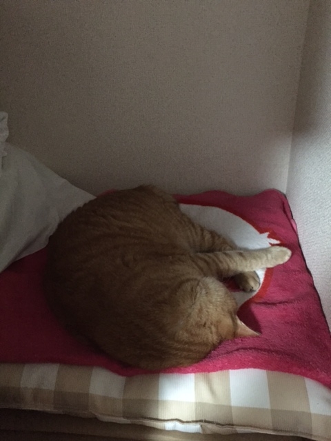 f:id:nakanakamosamosa:20150726234753j:plain f:id:nakanakamosamosa:20150726234753j:plain