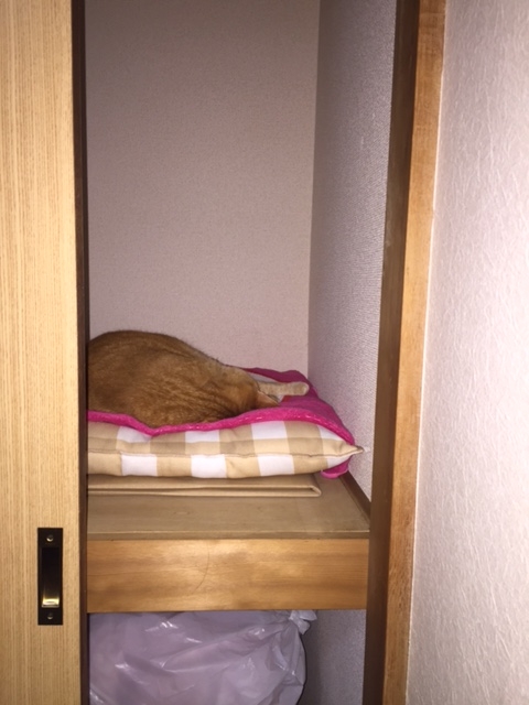 f:id:nakanakamosamosa:20150726235143j:plain f:id:nakanakamosamosa:20150726235143j:plain