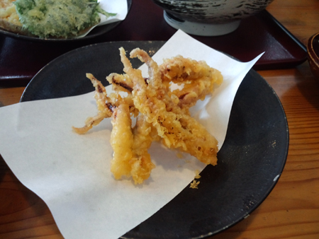 f:id:nakane2ti:20160508205310j:plain げそ天蕎麦