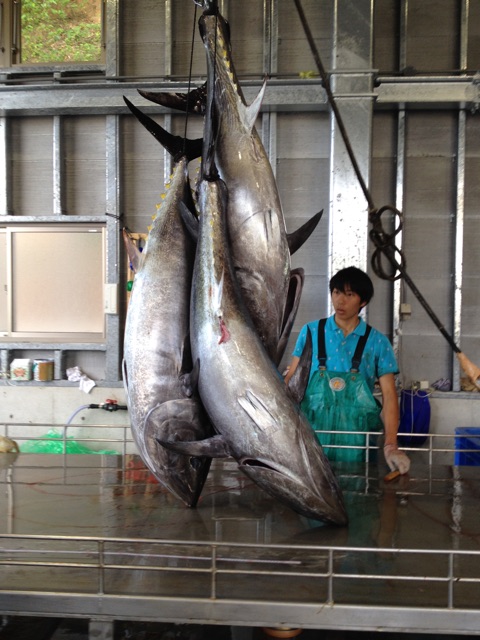 f:id:nakanishi-satoshi:20141231193810j:plain f:id:nakanishi-satoshi:20141231193810j:plain
