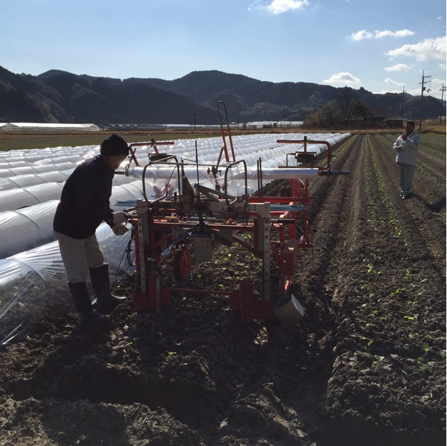 f:id:nakanishi-satoshi:20150109152513j:plain f:id:nakanishi-satoshi:20150109152513j:plain