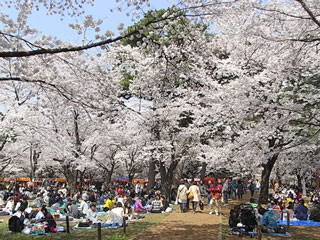 f:id:nakasendo:20120506033306j:image f:id:nakasendo:20120506033306j:image