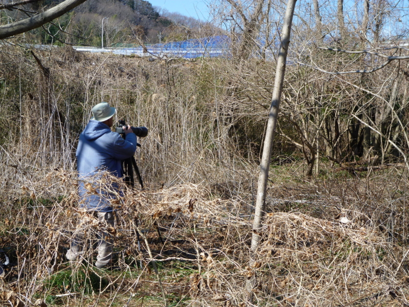 f:id:nakazatokaizan:20150214171652j:plain f:id:nakazatokaizan:20150214171652j:plain