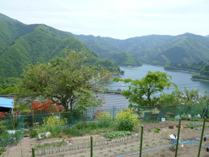 f:id:nakazatokaizan:20150506170841j:plain f:id:nakazatokaizan:20150506170841j:plain