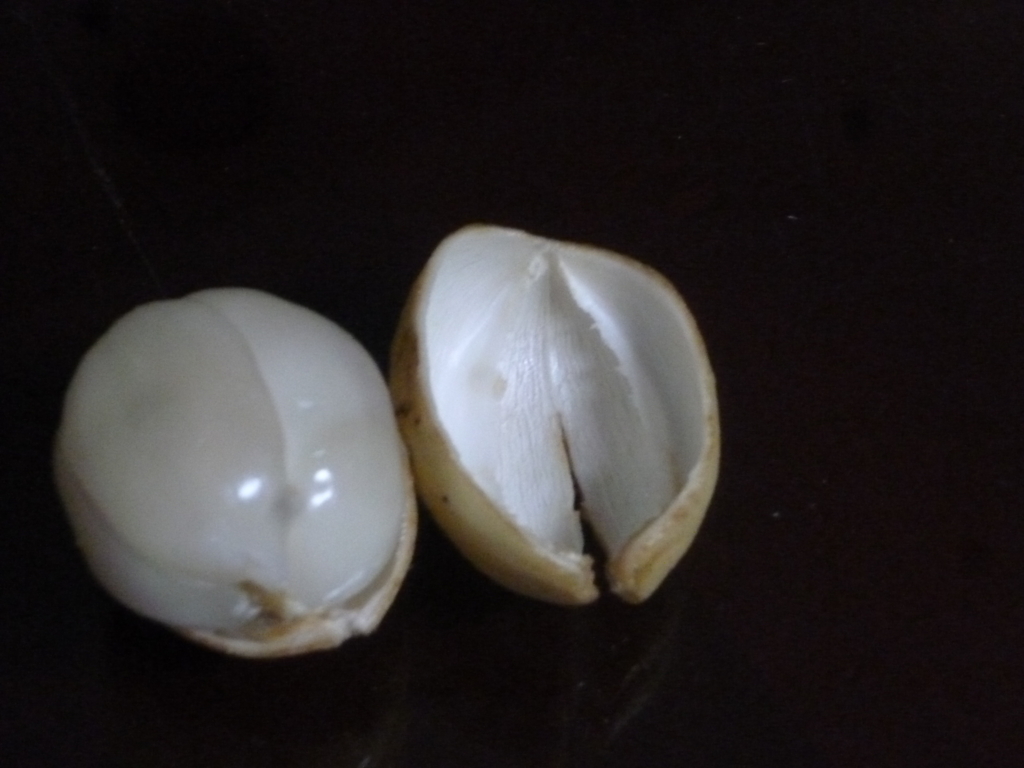 f:id:nakazatokaizan:20150921093613j:plain f:id:nakazatokaizan:20150921093613j:plain
