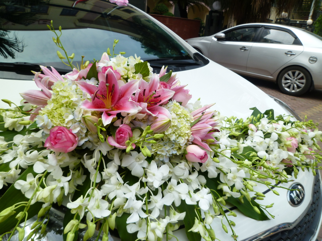 f:id:nakazatokaizan:20151005141255j:plain f:id:nakazatokaizan:20151005141255j:plain