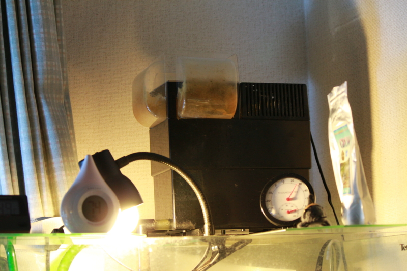 f:id:namakomodoki:20120804225858j:plain f:id:namakomodoki:20120804225858j:plain