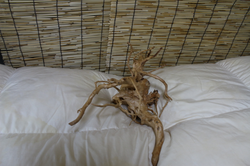 f:id:namakomodoki:20121006194144j:plain f:id:namakomodoki:20121006194144j:plain