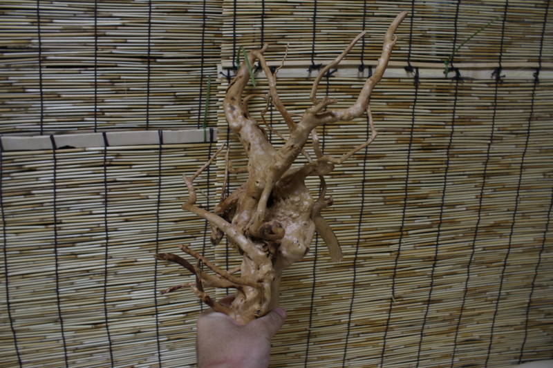 f:id:namakomodoki:20121006194200j:plain f:id:namakomodoki:20121006194200j:plain