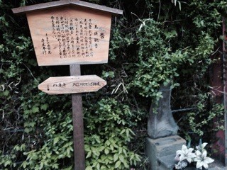 f:id:namasha:20150421055626j:plain f:id:namasha:20150421055626j:plain