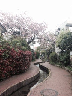 f:id:namasha:20150421055638j:plain f:id:namasha:20150421055638j:plain