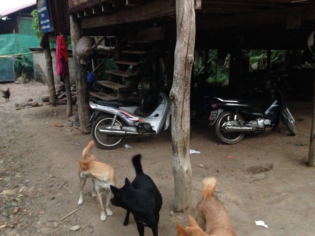 f:id:namasutenina:20160328162516j:image f:id:namasutenina:20160328162516j:image
