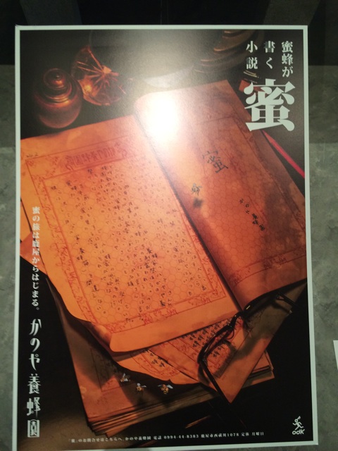 f:id:namatsuchiya:20140513142747j:plain f:id:namatsuchiya:20140513142747j:plain