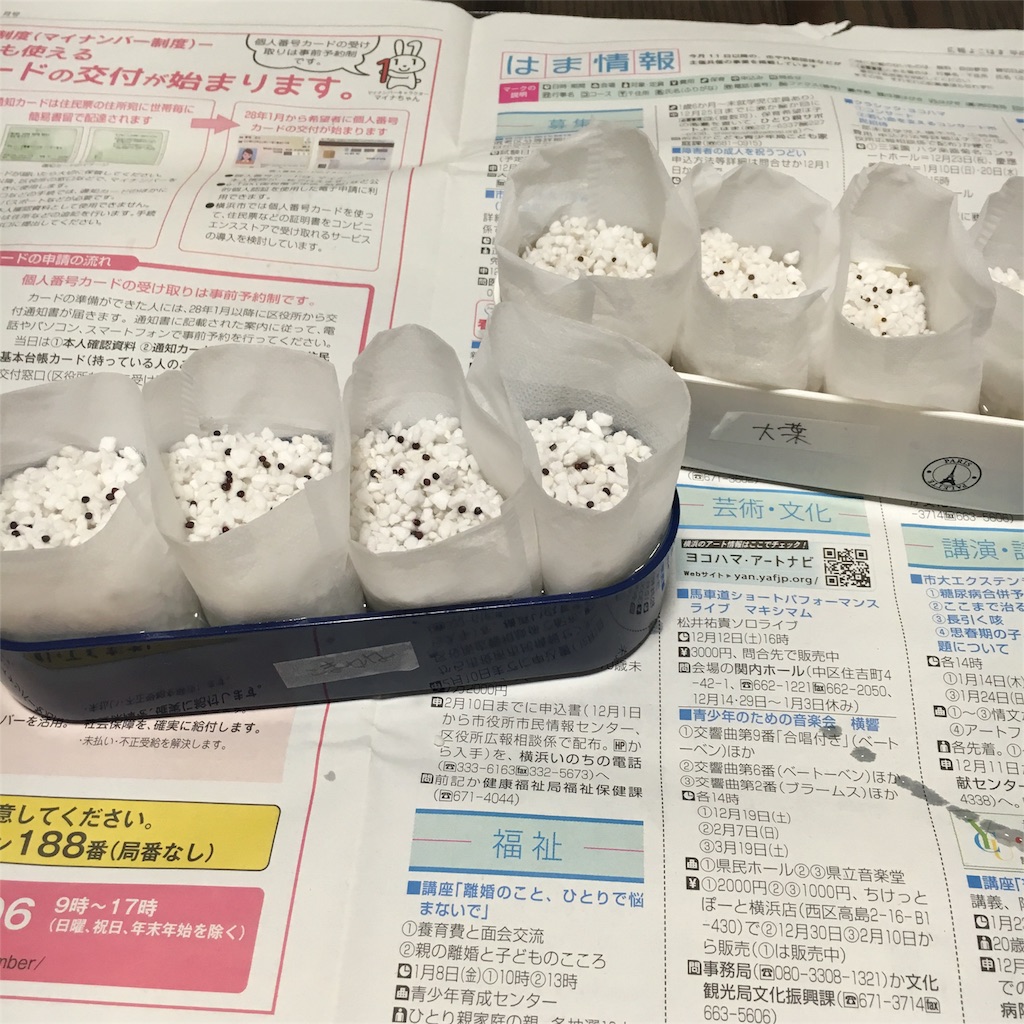 f:id:namellow:20160407183437j:image f:id:namellow:20160407183437j:image