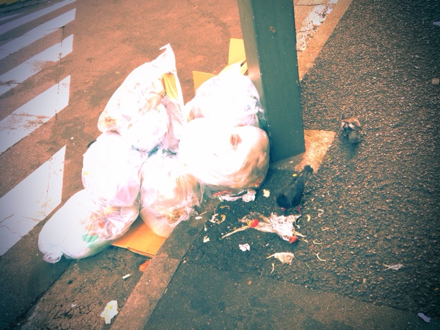 f:id:nanaco062:20140816060526j:plain f:id:nanaco062:20140816060526j:plain