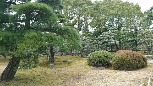 f:id:nanatuna7:20160110223558j:image f:id:nanatuna7:20160110223558j:image