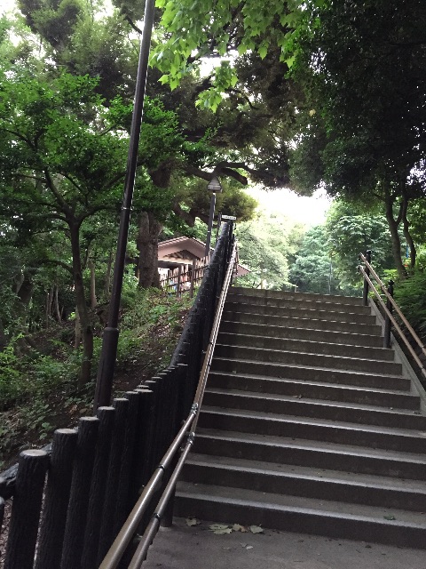 f:id:nanayo743:20150627010150j:image f:id:nanayo743:20150627010150j:image