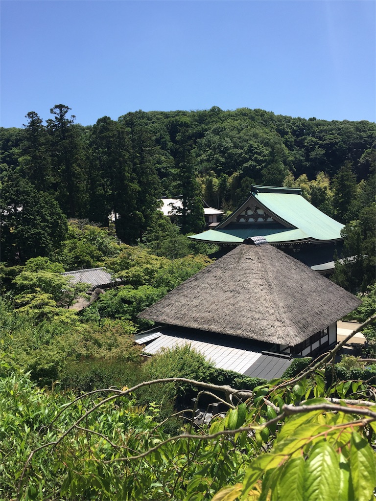 f:id:nanayo743:20160603154100j:image f:id:nanayo743:20160603154100j:image