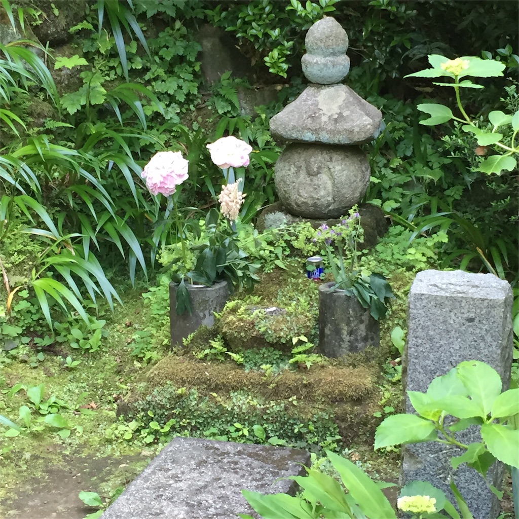f:id:nanayo743:20160603162202j:image f:id:nanayo743:20160603162202j:image