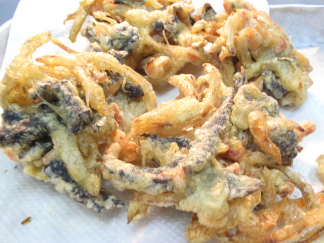 f:id:nankaen:20110309135104j:image f:id:nankaen:20110309135104j:image
