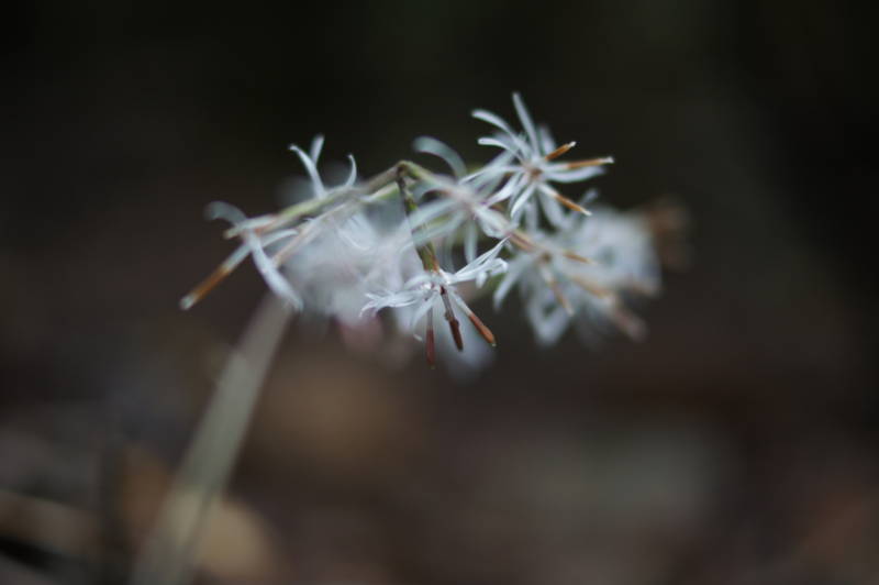 f:id:nankaen:20111029232259j:image f:id:nankaen:20111029232259j:image
