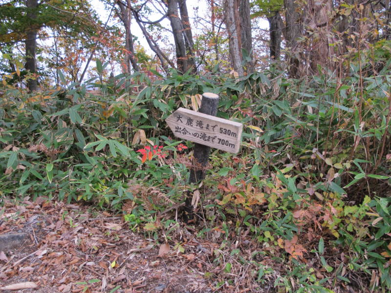 f:id:nankaen:20111106083112j:image f:id:nankaen:20111106083112j:image
