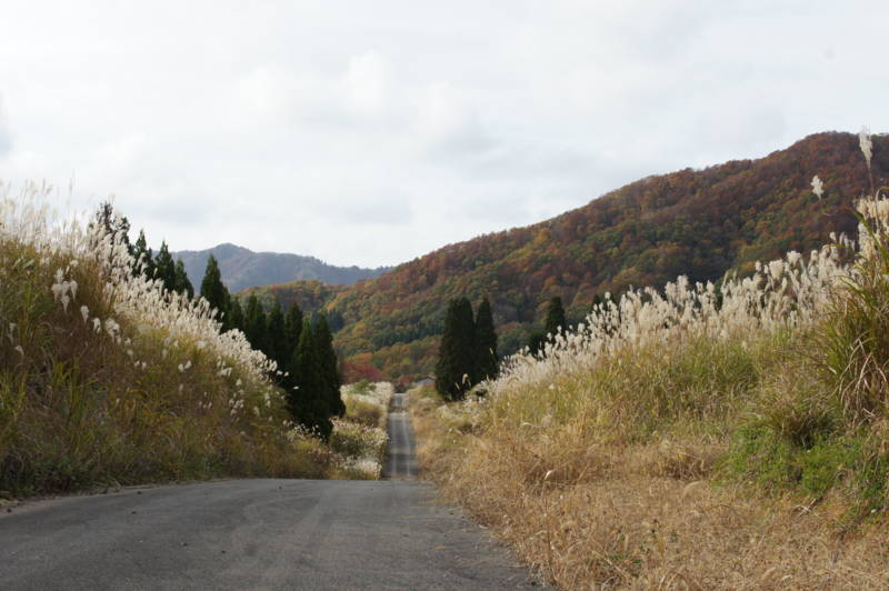 f:id:nankaen:20111106085516j:image f:id:nankaen:20111106085516j:image