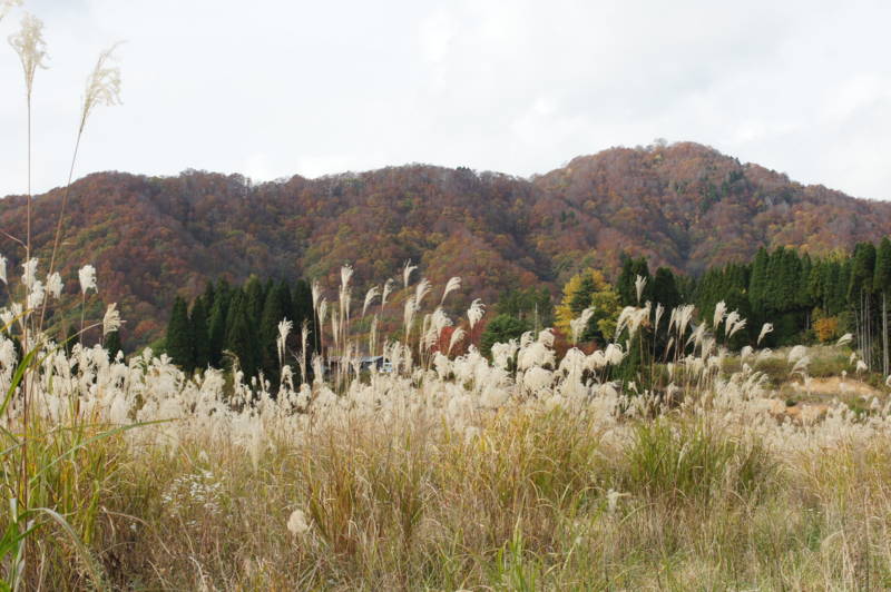 f:id:nankaen:20111106085532j:image f:id:nankaen:20111106085532j:image