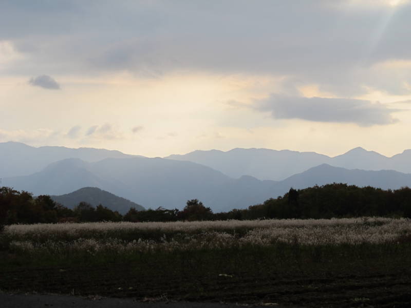 f:id:nankaen:20111106090346j:image f:id:nankaen:20111106090346j:image