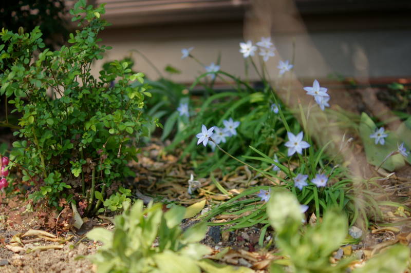 f:id:nankaen:20120407011220j:image f:id:nankaen:20120407011220j:image