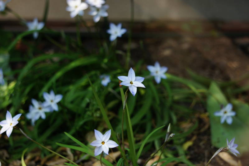 f:id:nankaen:20120407011221j:image f:id:nankaen:20120407011221j:image