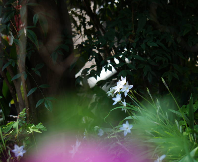f:id:nankaen:20120407011222j:image f:id:nankaen:20120407011222j:image
