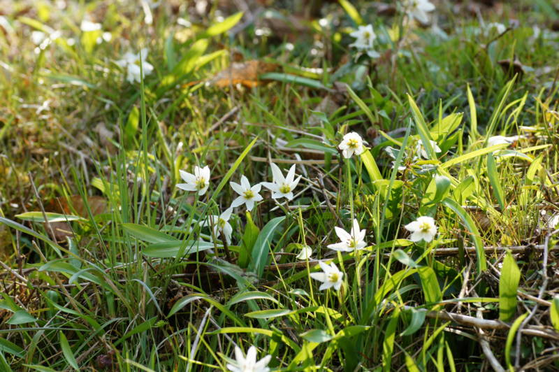 f:id:nankaen:20120410103248j:image f:id:nankaen:20120410103248j:image