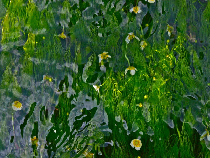 f:id:nankaen:20120828092203j:image f:id:nankaen:20120828092203j:image